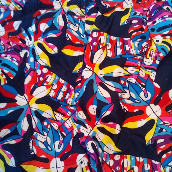 Colorful Men's Swim Shorts - Picture 6 of 11